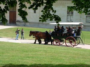 photo_027