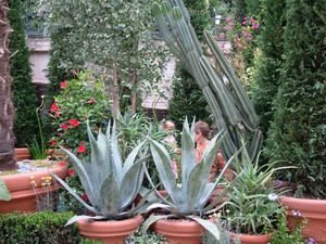 0032_le_jardin_de_la_ville_de_levallois_-le_voyage_vegetal
