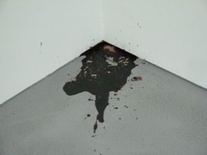 0058_douglas_gordon_2007_another_path_of_least_resistance