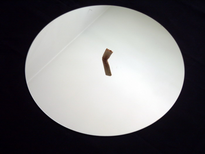 Art 109-1