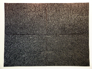 0035_giuseppe_penone_03-06_peau_de_graphite_-_reflet_de_rodonite_300x400cm_resize