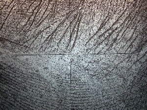 0034_giuseppe_penone_03-06_peau_de_graphite_-_reflet_de_rodonite_300x400cm_resize