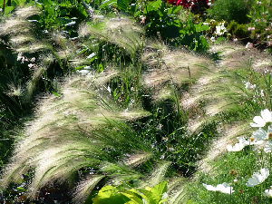 dscf0014_resize