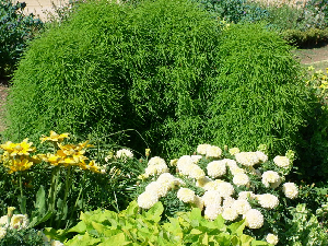 dscf0015_resize