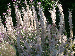 dscf0016_resize