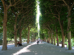 dscf0018_resize