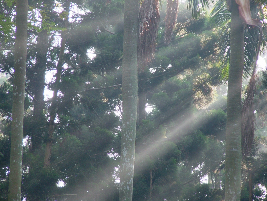 DSCF5135.png