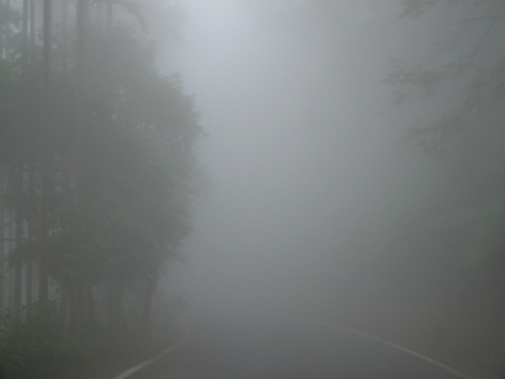DSCF5184.png