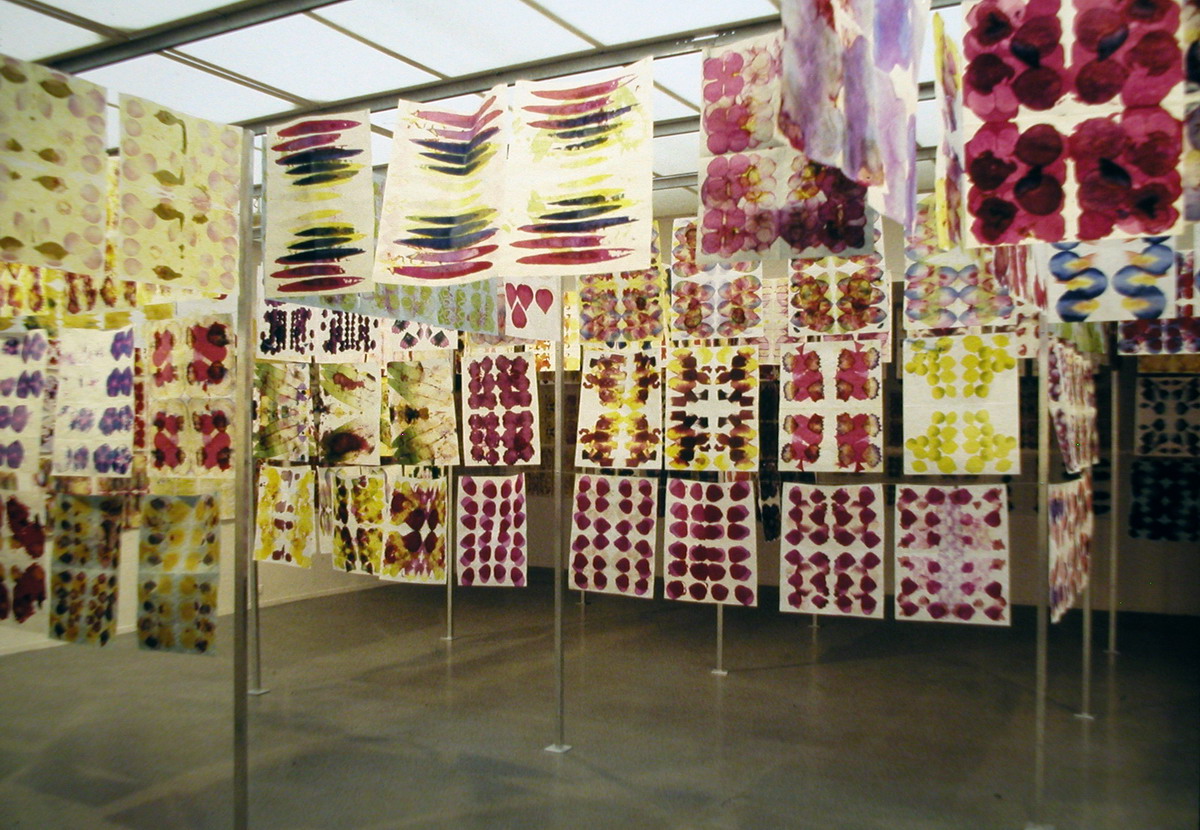 0287 Gabriel Orozco Colour traval through Flowers 1998_縮小大小