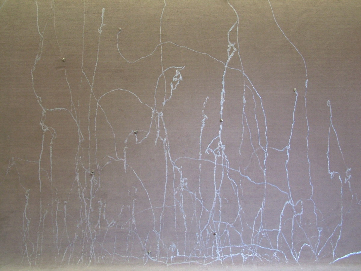 n048 Michel Blazy 2009 Le lacher l escargots_縮小大小