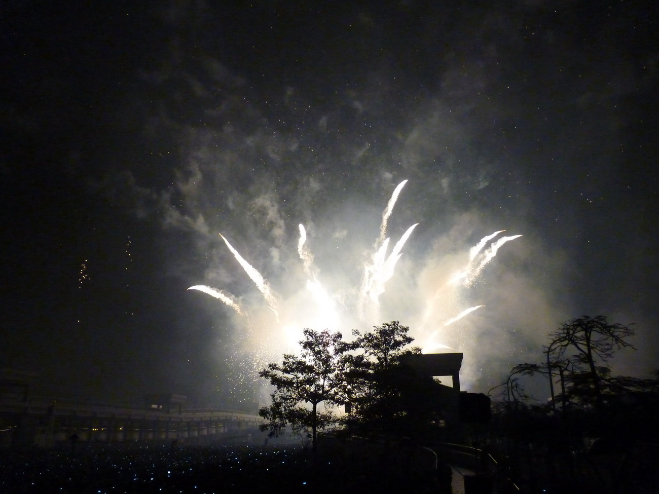 P1120244_縮小大小