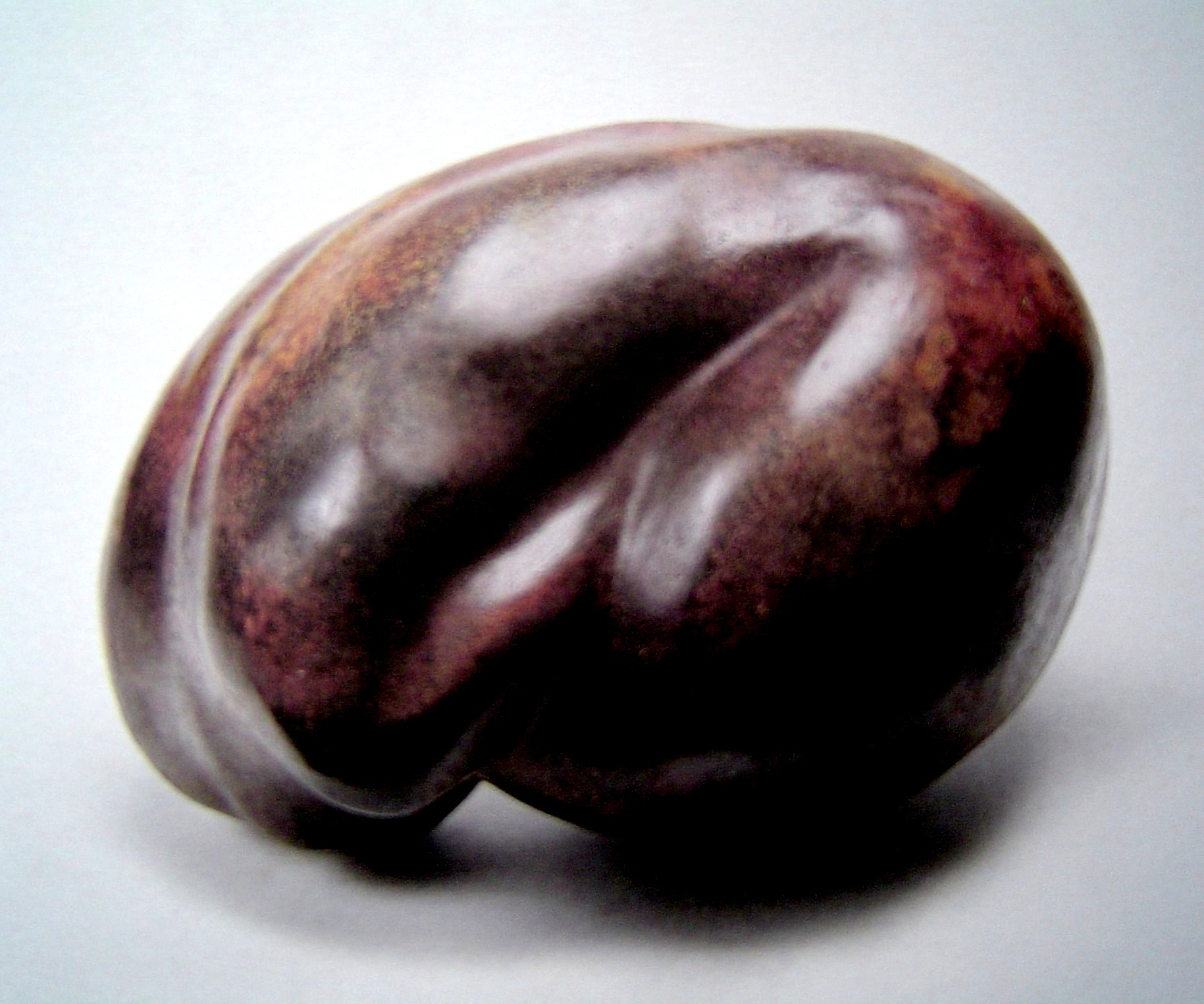 004 來自一棵種子 35x23x22cm 2002 銅