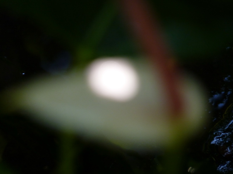 P1200611