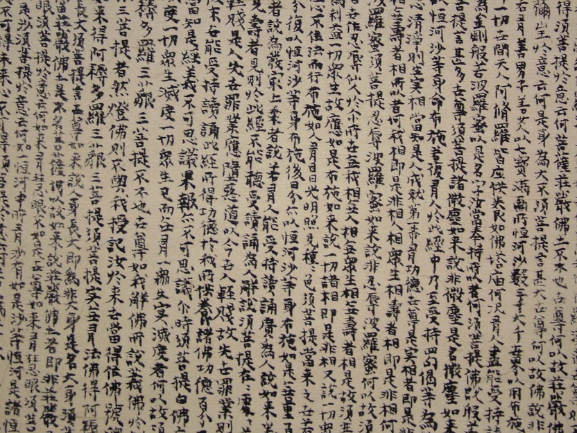 DSCF8041