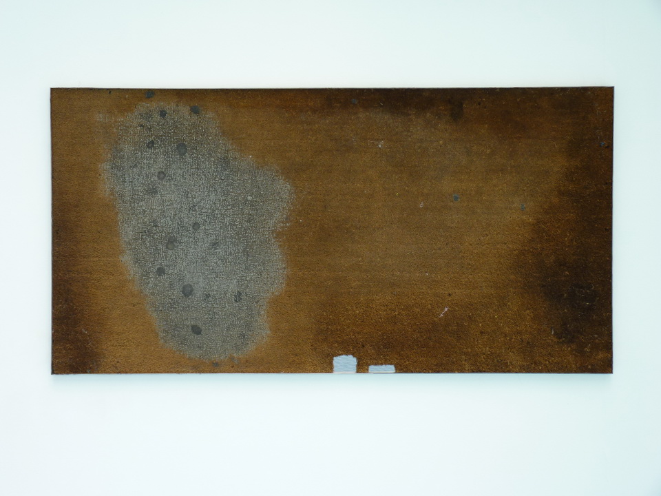 056 Eric Baudart Vinci 2013 Paillaisson, silicone, acier, 100 x 196 cm