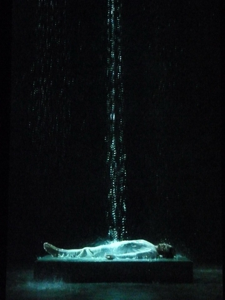 065 Bill Viola Tristan s ascension-le son d une montagne sous une cascade 2005 10 minu 16 sec performeur John Hay coll Pinault