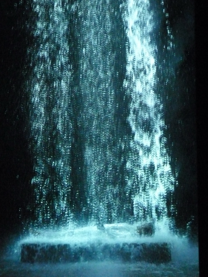 068 Bill Viola Tristan s ascension-le son d une montagne sous une cascade 2005 10 minu 16 sec performeur John Hay coll Pinault