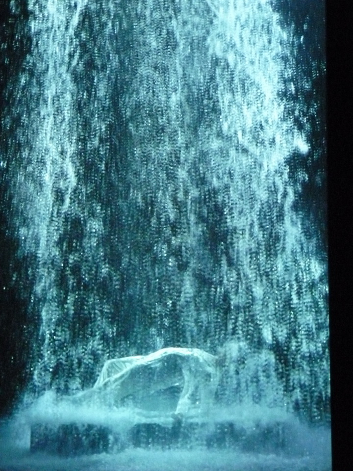 071 Bill Viola Tristan s ascension-le son d une montagne sous une cascade 2005 10 minu 16 sec performeur John Hay coll Pinault