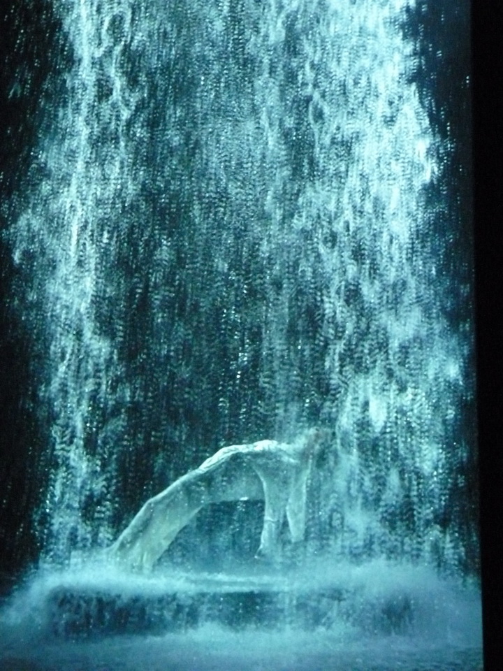 072 Bill Viola Tristan s ascension-le son d une montagne sous une cascade 2005 10 minu 16 sec performeur John Hay coll Pinault