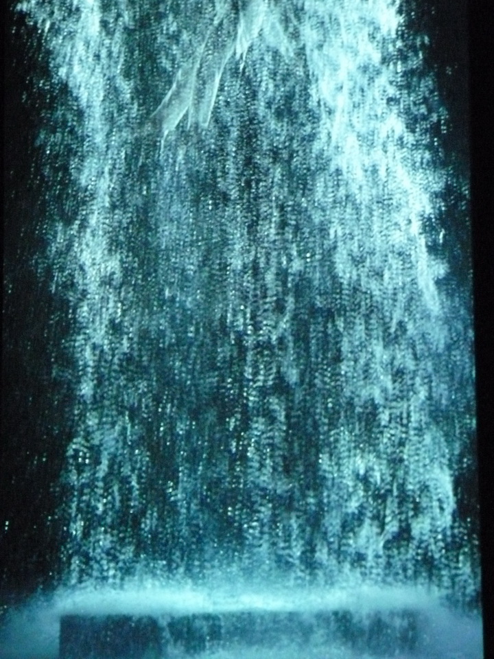 075 Bill Viola Tristan s ascension-le son d une montagne sous une cascade 2005 10 minu 16 sec performeur John Hay coll Pinault