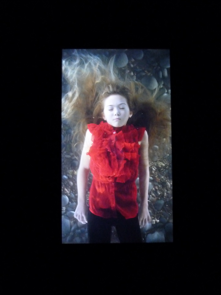 096 Bill Viola the dreamers-les reveurs 2013 7 canaux video-ecrams plasma colle Pinault