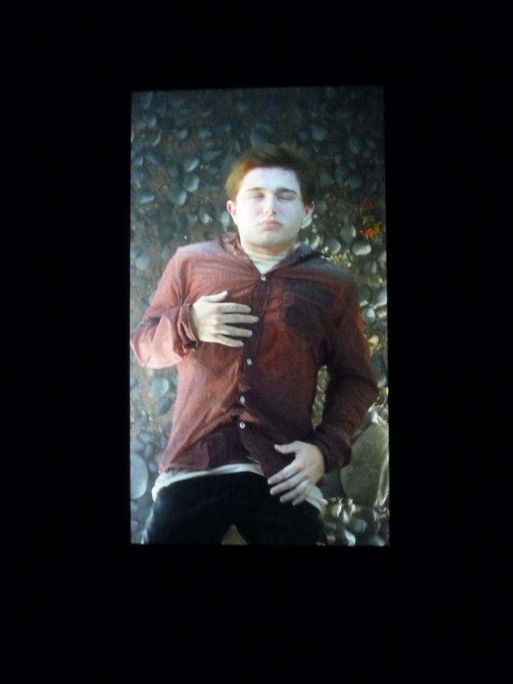 097-3 Bill Viola the dreamers-les reveurs 2013 7 canaux video-ecrams plasma colle Pinault