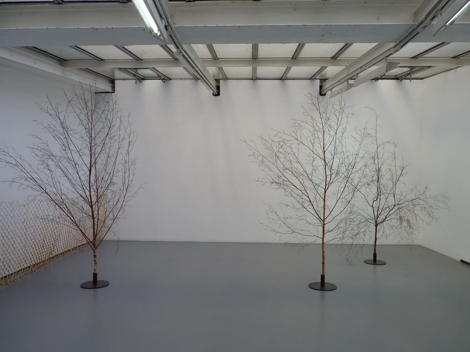 099 Dominique Ghesquiere feuilius birch birch branches 2014