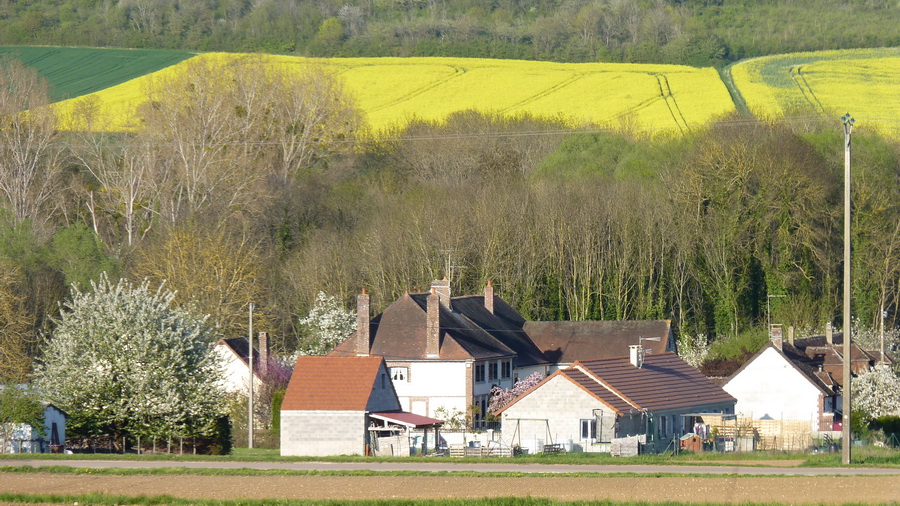 P1390051