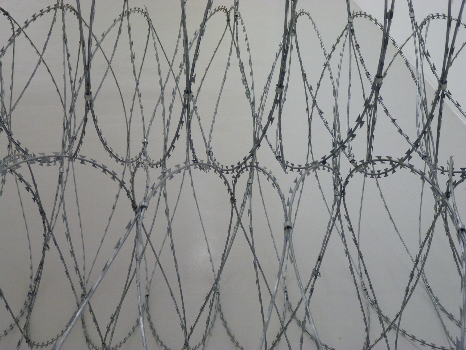 040-7 Gianni Motti draft 2015 installation
