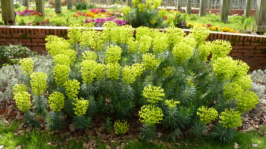 P1500274