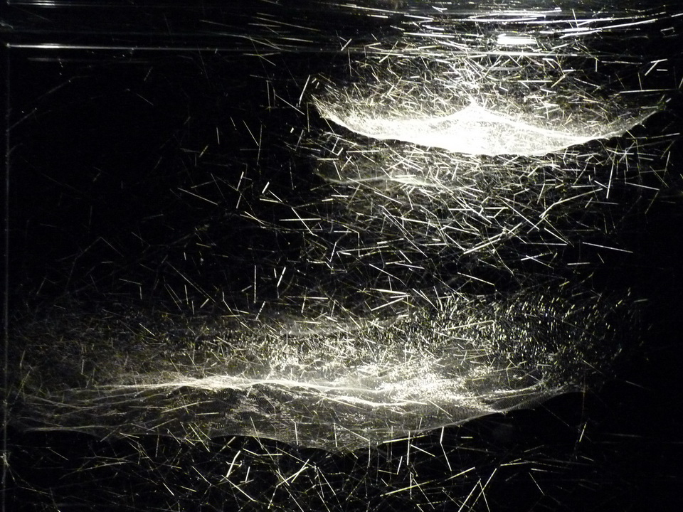 013 Tomas Saraceno b1973 hybrid musical instrument cygnus a-built by a solitary spider nephila kenianensis and two semi-social