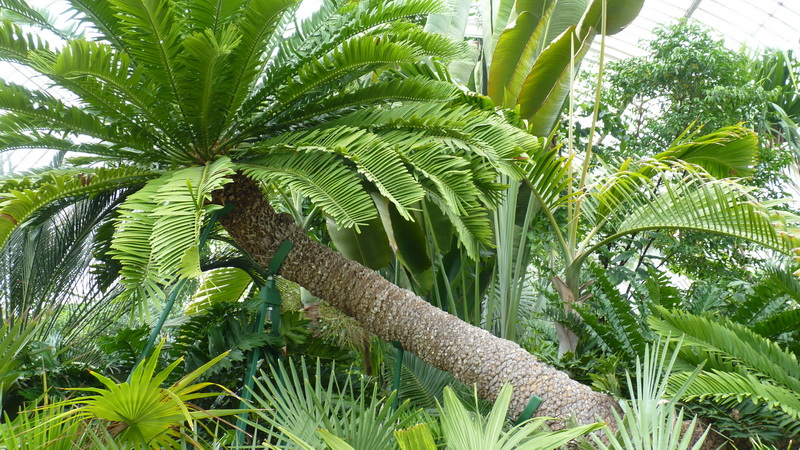 P1530337