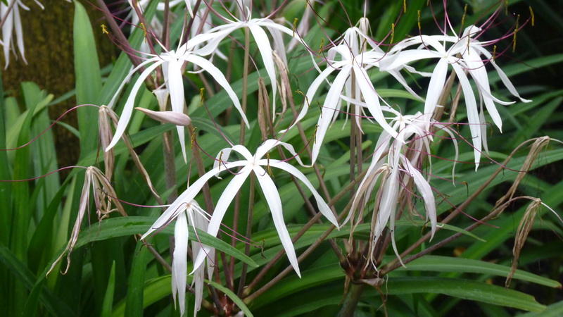 P1530335