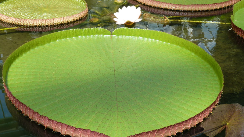 P1530221
