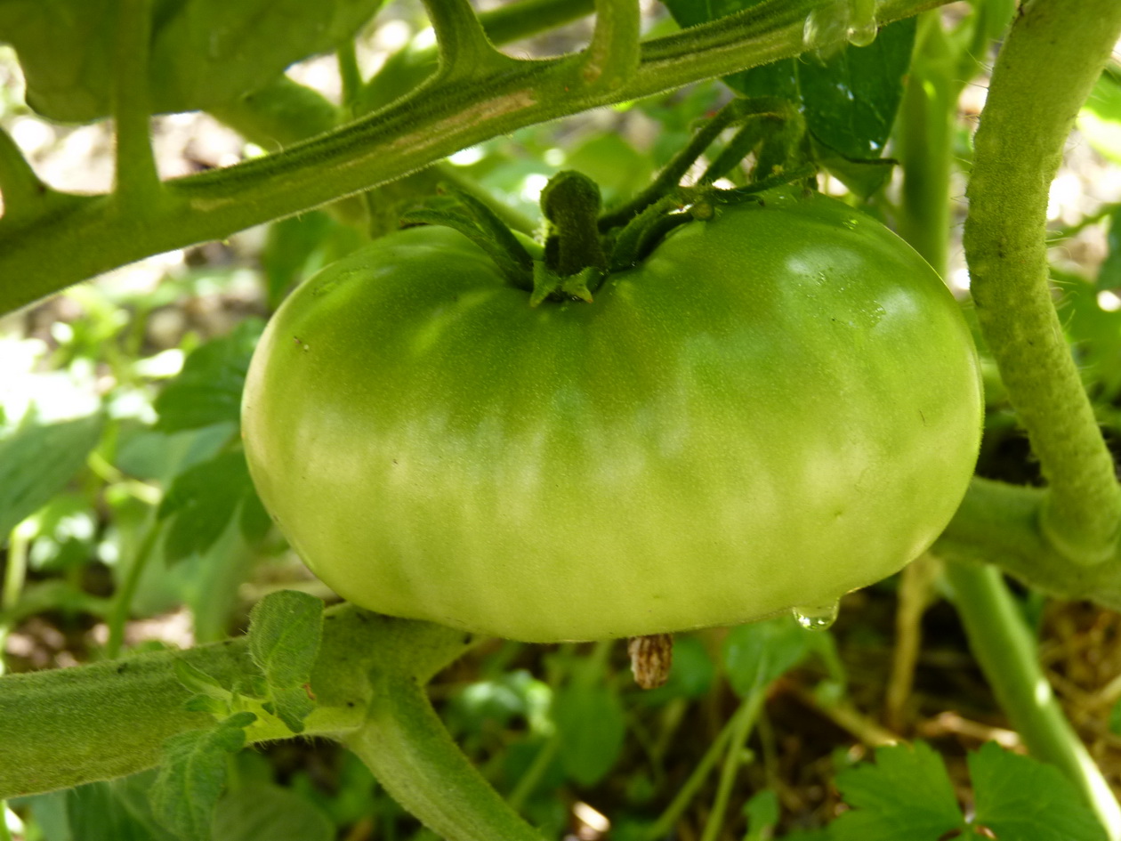 P1640457