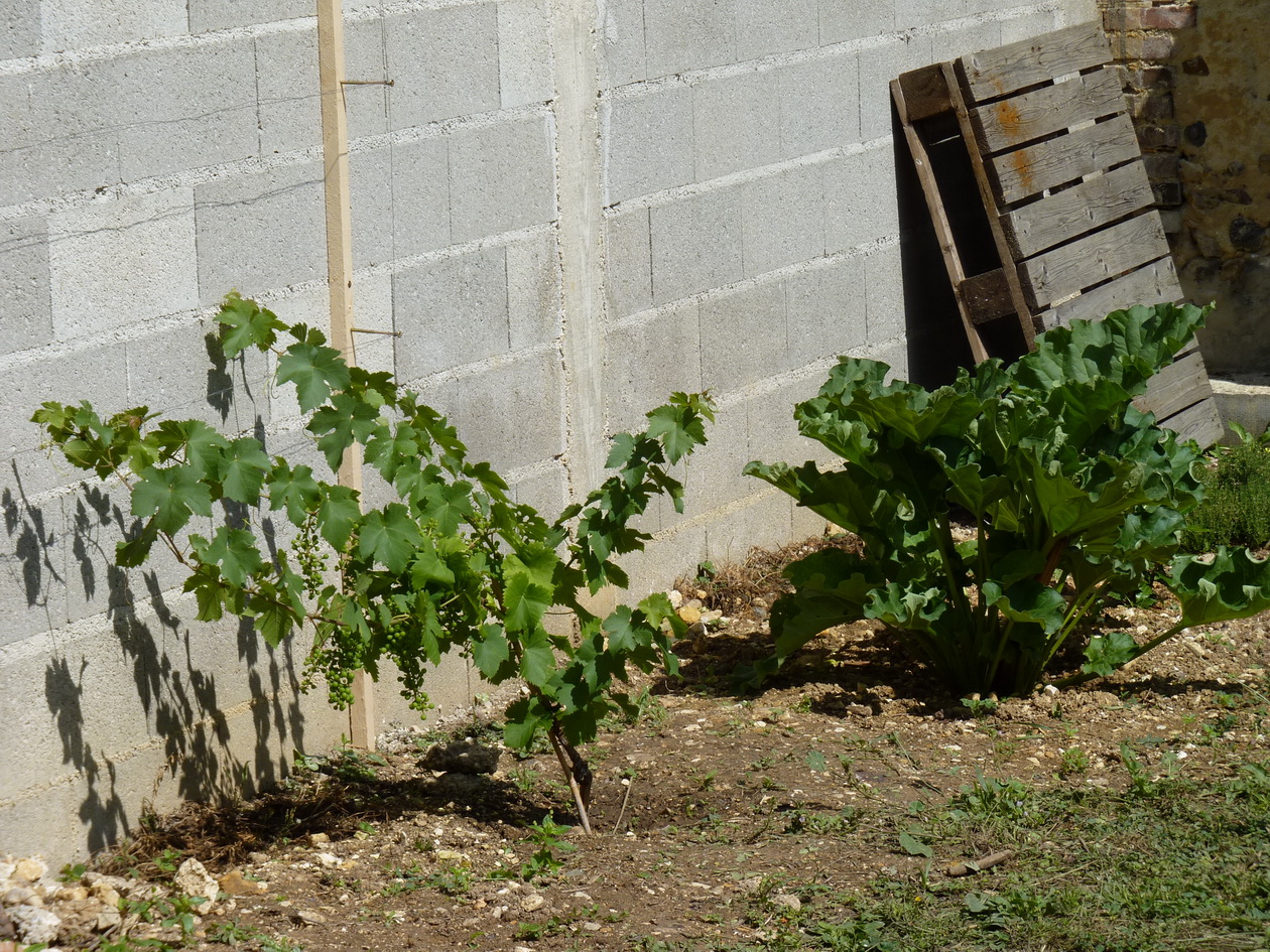 P1640463
