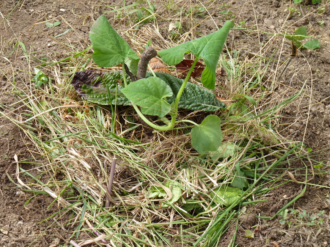 P1640444