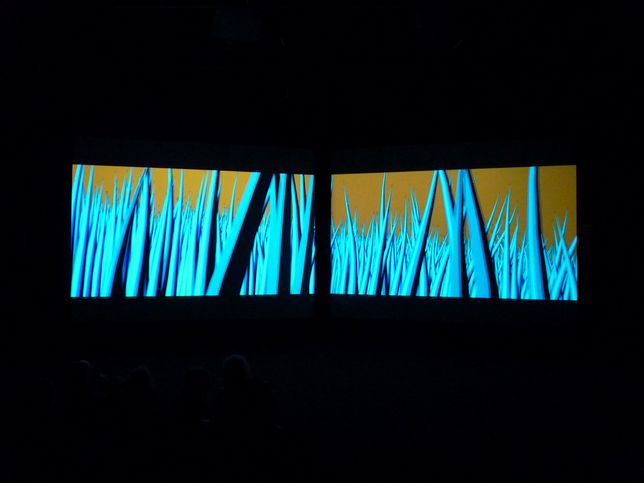P1610935 Olga Neuwirth ne1968 -Tal Rosner ne1978 disenchanted lsland 2016-17 installation visuelle -sonore video 18 minu
