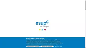 Capture du site ESUP Angers