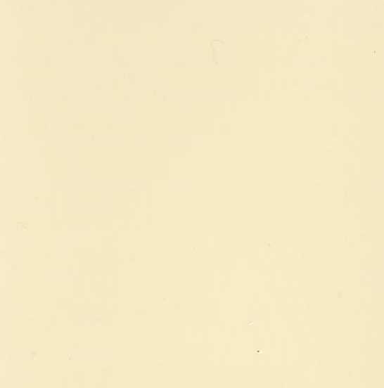 BEIGE ARALTEC X 2734