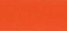 RAL 2012 ORANGE SAUMON