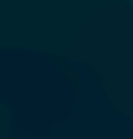 BLEU SOMECA VERT 367