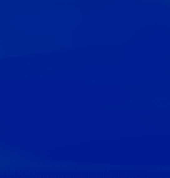 BLEU SOUCHU PINET 359