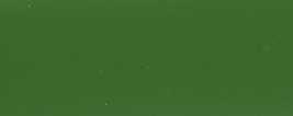 RAL 6025 VERT FOUGERE