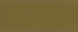 RAL 8000 BRUN VERT