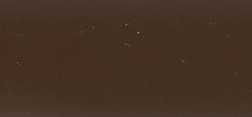 RAL 8011 BRUN NOISETTE