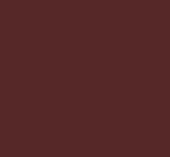 BRUN ROUGE ARMOR 503