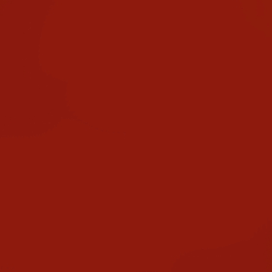 ROUGE MAC CORMICK NV 1333