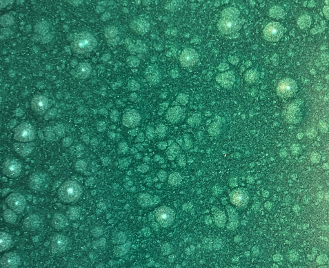 VERT BRUNEAU NV 1824