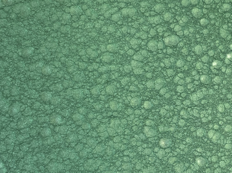 VERT DESVOYS MARTELE 1837